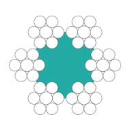 TM7